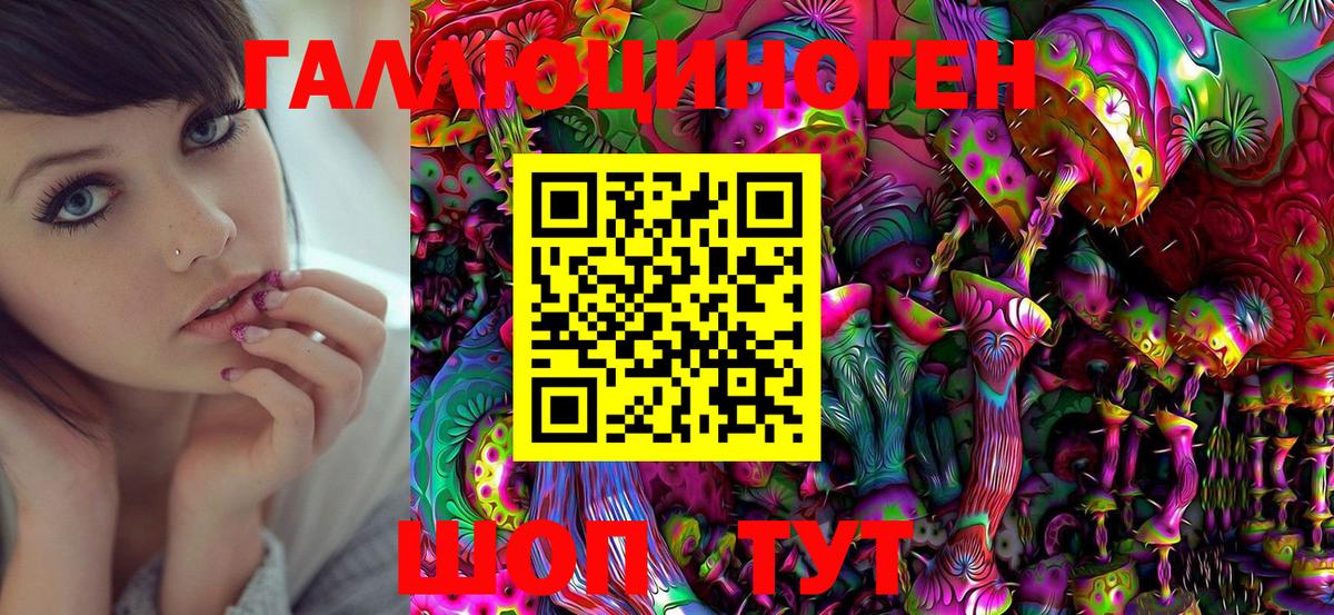 Псилоцибиновые грибы Psilocybe Малоярославец