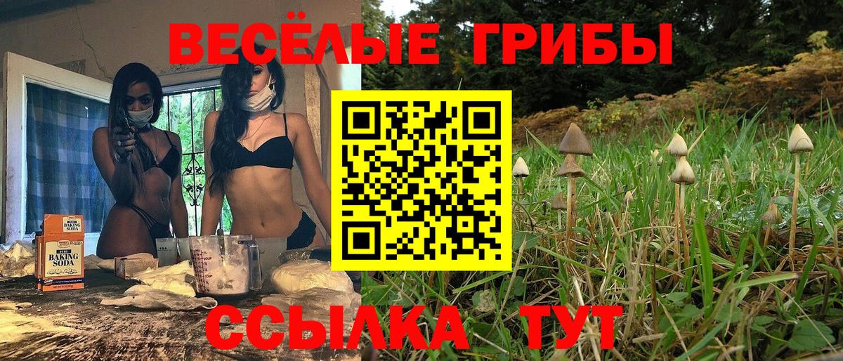 Псилоцибиновые грибы Magic Shrooms  где купить наркоту  Малоярославец  Вход с VPN 